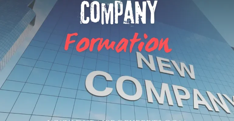 company formation in dubai | dubai pro experts