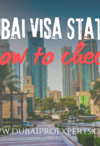 how to check dubai visa status | dubai pro experts